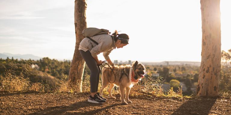 How to Protect Your Dog's Paws in Winter