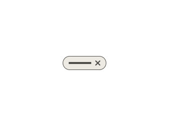 Chip with an x remove icon in the right slot.