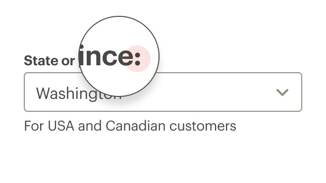 Dropdown label displayed incorrectly with a colon as terminal punctuation.