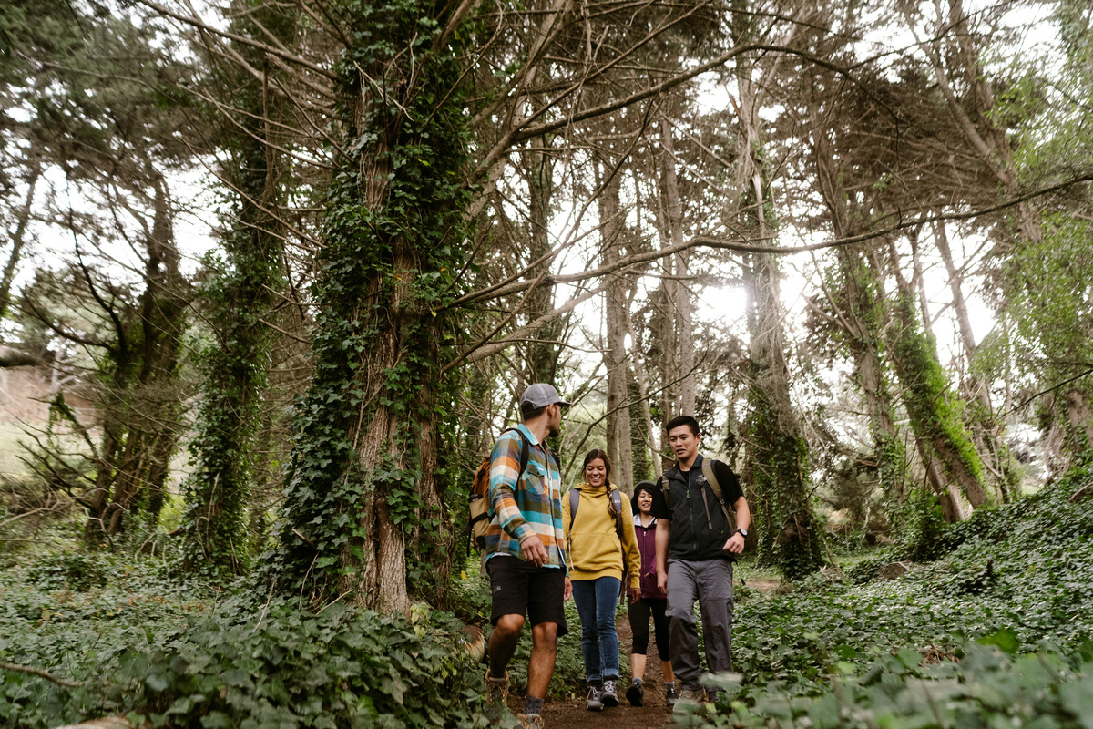 A group of people hiking together in a forest with tall evergreen trees
